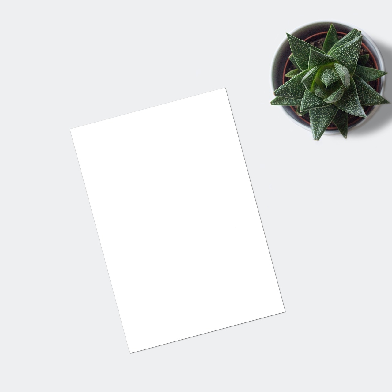 Web pre startup